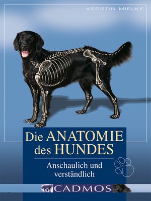 cover image of Die Anatomie des Hundes